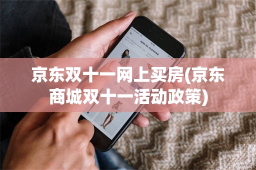 京东双十一网上买房(京东商城双十一活动政策)