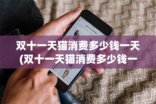 双十一天猫消费多少钱一天(双十一天猫消费多少钱一天啊)