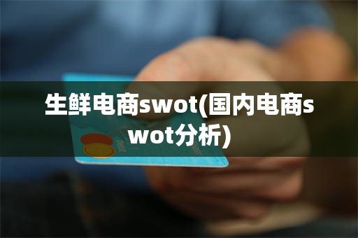生鲜电商swot(国内电商swot分析)