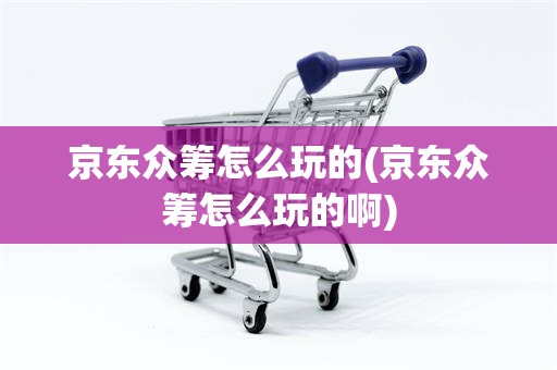 京东众筹怎么玩的(京东众筹怎么玩的啊)