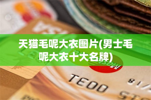 天猫毛呢大衣图片(男士毛呢大衣十大名牌)