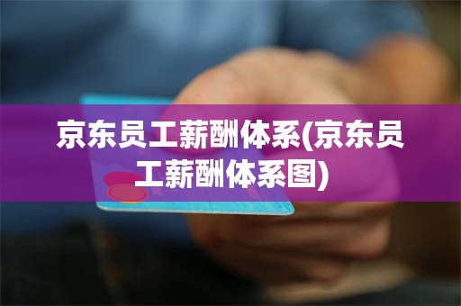 京东员工薪酬体系(京东员工薪酬体系图)