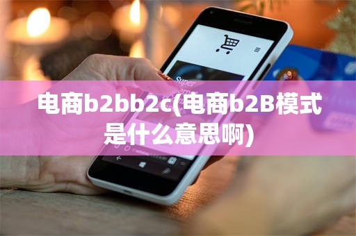 电商b2bb2c(电商b2B模式是什么意思啊)