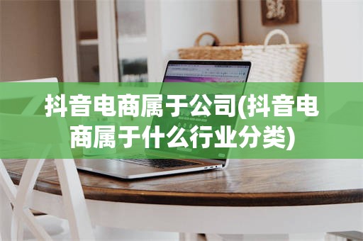 抖音电商属于公司(抖音电商属于什么行业分类)