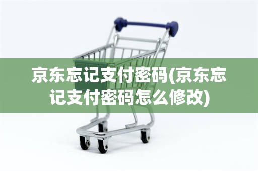 京东忘记支付密码(京东忘记支付密码怎么修改)