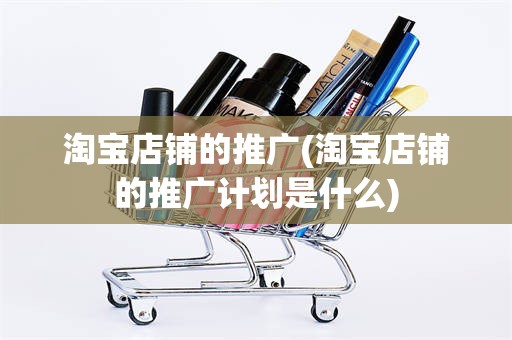 淘宝店铺的推广(淘宝店铺的推广计划是什么)