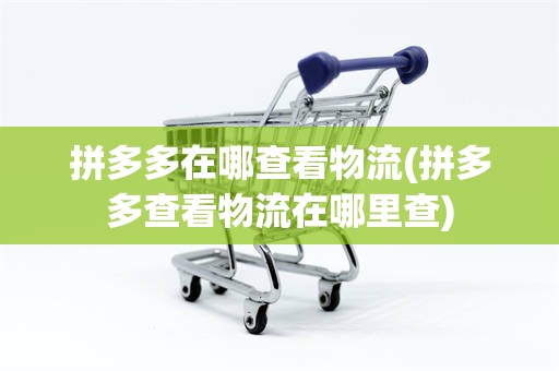 拼多多在哪查看物流(拼多多查看物流在哪里查)