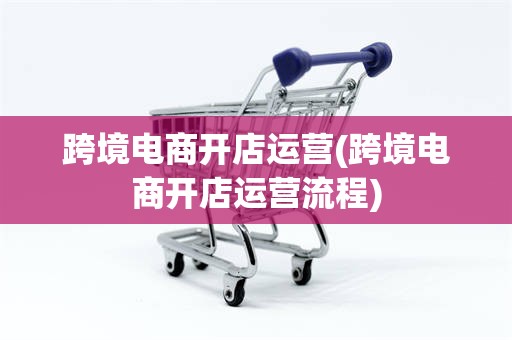 跨境电商开店运营(跨境电商开店运营流程)
