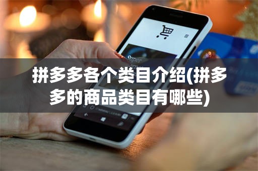 拼多多各个类目介绍(拼多多的商品类目有哪些)