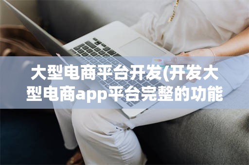 大型电商平台开发(开发大型电商app平台完整的功能需求)