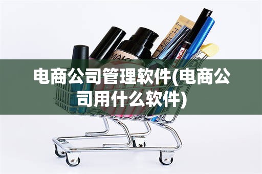 电商公司管理软件(电商公司用什么软件)