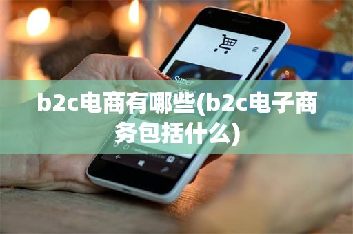 b2c电商有哪些(b2c电子商务包括什么)