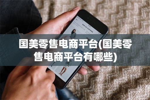 国美零售电商平台(国美零售电商平台有哪些)