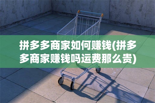 拼多多商家如何赚钱(拼多多商家赚钱吗运费那么贵)
