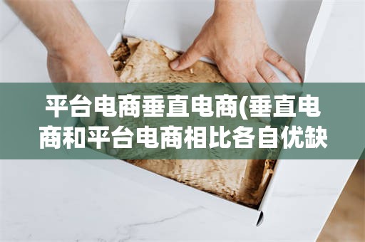 平台电商垂直电商(垂直电商和平台电商相比各自优缺点)