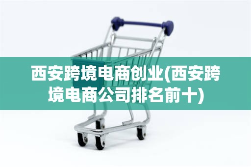 西安跨境电商创业(西安跨境电商公司排名前十)