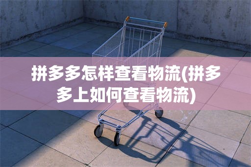 拼多多怎样查看物流(拼多多上如何查看物流)