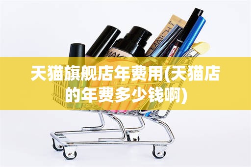 天猫旗舰店年费用(天猫店的年费多少钱啊)