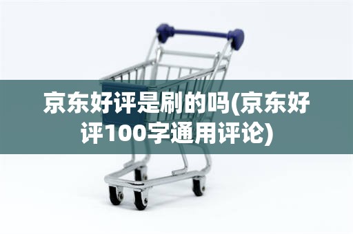 京东好评是刷的吗(京东好评100字通用评论)