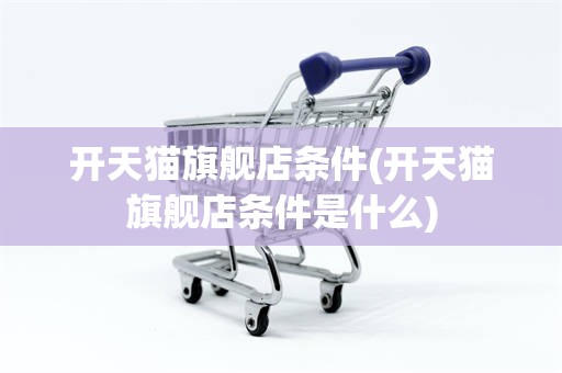 开天猫旗舰店条件(开天猫旗舰店条件是什么)