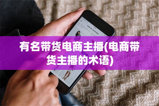 有名带货电商主播(电商带货主播的术语)