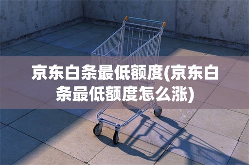 京东白条最低额度(京东白条最低额度怎么涨)
