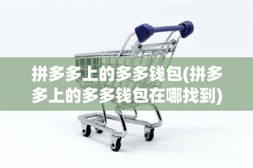 拼多多上的多多钱包(拼多多上的多多钱包在哪找到)