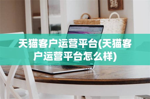 天猫客户运营平台(天猫客户运营平台怎么样)
