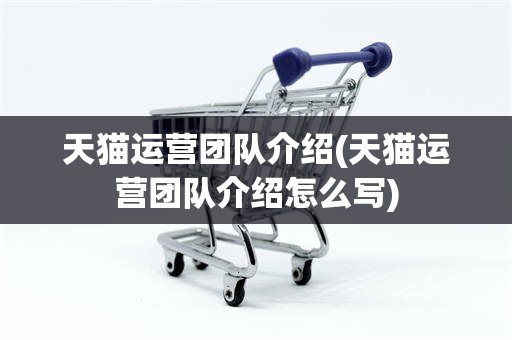 天猫运营团队介绍(天猫运营团队介绍怎么写)