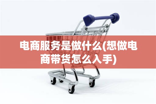 电商服务是做什么(想做电商带货怎么入手)