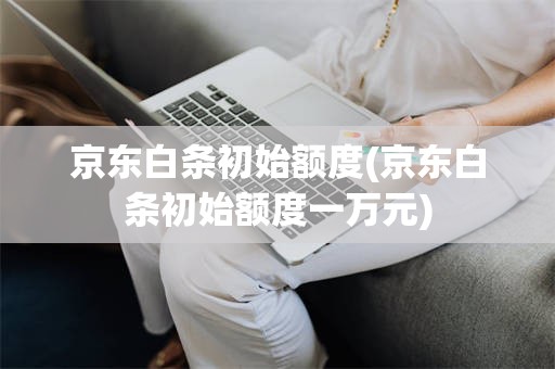 京东白条初始额度(京东白条初始额度一万元)