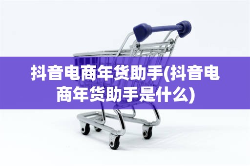 抖音电商年货助手(抖音电商年货助手是什么)
