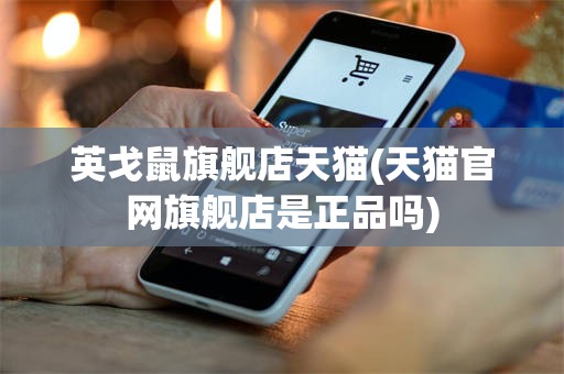 英戈鼠旗舰店天猫(天猫官网旗舰店是正品吗)
