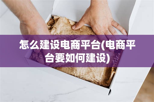 怎么建设电商平台(电商平台要如何建设)