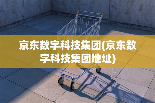 京东数字科技集团(京东数字科技集团地址)