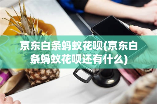 京东白条蚂蚁花呗(京东白条蚂蚁花呗还有什么)