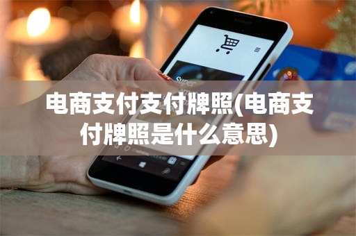 电商支付支付牌照(电商支付牌照是什么意思)