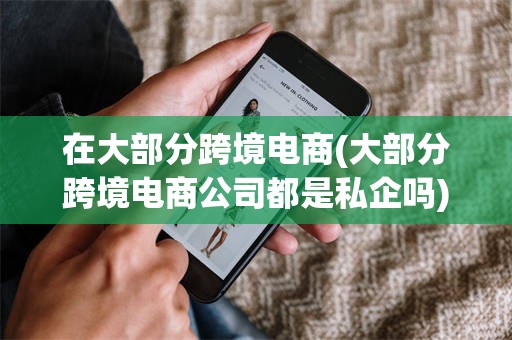 在大部分跨境电商(大部分跨境电商公司都是私企吗)