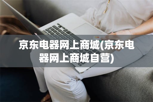京东电器网上商城(京东电器网上商城自营)