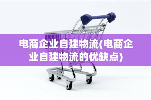 电商企业自建物流(电商企业自建物流的优缺点)