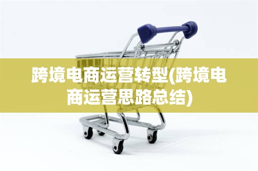 跨境电商运营转型(跨境电商运营思路总结)