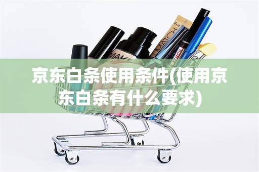 京东白条使用条件(使用京东白条有什么要求)