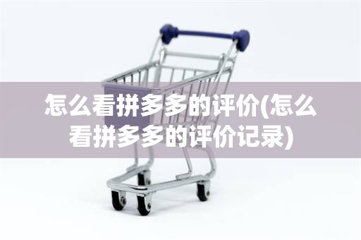 怎么看拼多多的评价(怎么看拼多多的评价记录)