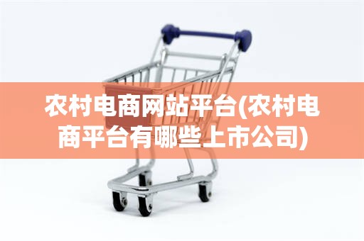 农村电商网站平台(农村电商平台有哪些上市公司)