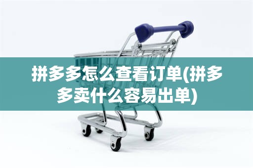 拼多多怎么查看订单(拼多多卖什么容易出单)