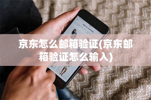 京东怎么邮箱验证(京东邮箱验证怎么输入)