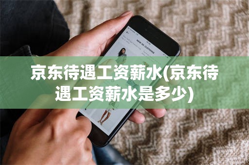 京东待遇工资薪水(京东待遇工资薪水是多少)