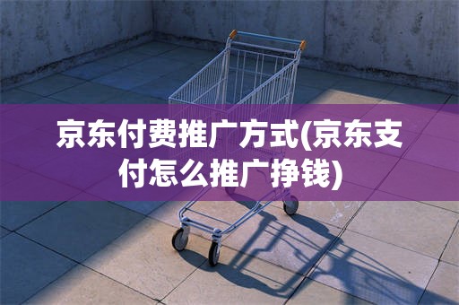 京东付费推广方式(京东支付怎么推广挣钱)
