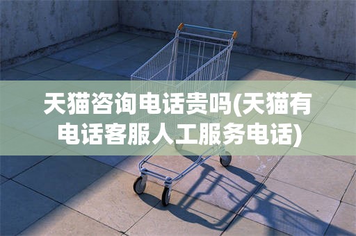 天猫咨询电话贵吗(天猫有电话客服人工服务电话)