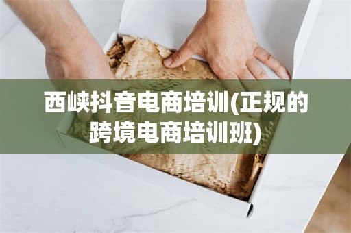 西峡抖音电商培训(正规的跨境电商培训班)